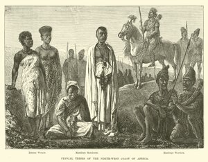 Tribus típicas de la costa noroeste de África de English School