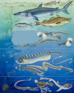 Montaje de criaturas submarinas (gouache sobre papel)