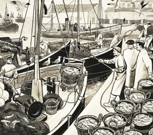 Puerto pesquero no identificado con peces en el muelle de English School