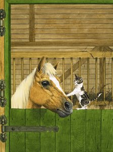 Caballo no identificado y gatito juguetón