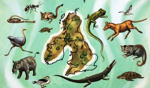 Montaje no identificado de animales alrededor del mapa de Gran Bretaña de English School