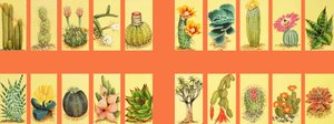 Montaje no identificado de cactus de English School