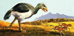 Animal prehistórico no identificado de English School