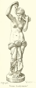 Venus Anadiomena de English School