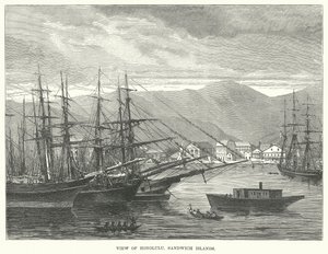 Vista de Honolulu, Islas Sandwich (grabado)