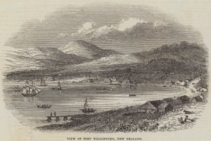 Vista de Port Wellington, Nueva Zelanda (grabado)