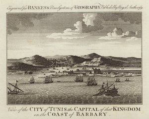 Vista de la ciudad de Túnez