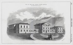 Vista del Nuevo Hospital de Fiebre de Londres de English School