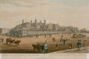 Vista de la Torre de Londres y la Casa de la Moneda