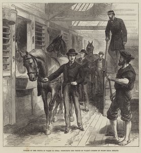 Viaje del Príncipe de Gales a la India, ejercitando los caballos del Príncipe de Gales a bordo del HMS Serapis (grabado) de English School