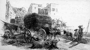 Carros con esparto, Almería, España, de 