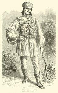 Campesino valaco de English School