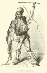 Postillón valaco