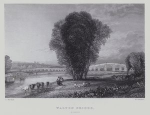 Puente Walton, Surrey de English School