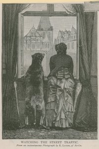 Observando el tráfico de la calle de English School