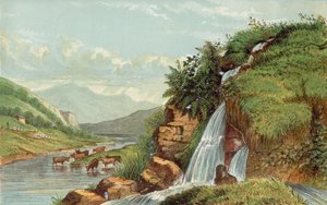 Cascada y ganado