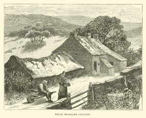 Cabañas en el páramo galés de English School