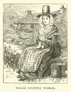 Campesina galesa