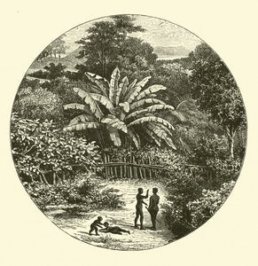 África Occidental de English School