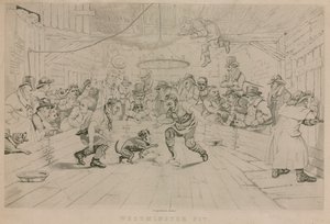 Westminster Pit de English School