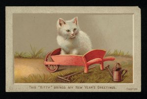 Gato blanco en una carretilla, tarjeta de felicitación de Año Nuevo