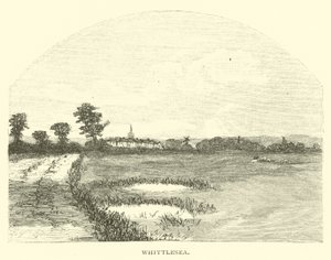Whittlesea de English School