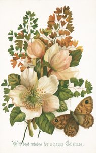 Rosas silvestres y mariposa de English School