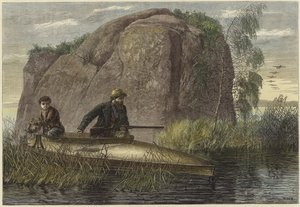 Caza de patos salvajes