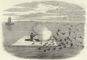 Caza de patos salvajes en el Potomac