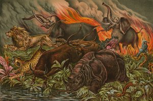 Juego salvaje de África huyendo del fuego