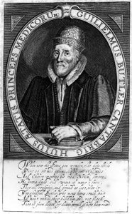 William Butler, después de un retrato original en Clare Hall, Cambridge, 1620 de English School