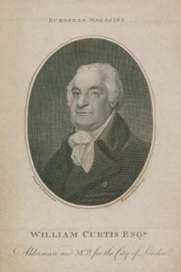 William Curtis, Concejal y MP de la Ciudad de Londres; Alcalde de Londres 1788