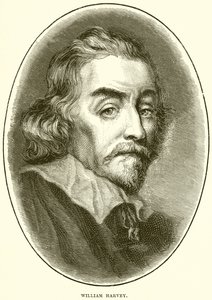 William Harvey de English School