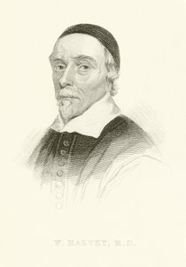 William Harvey de English School