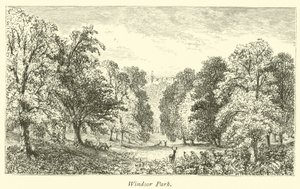 Parque de Windsor de English School