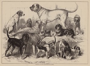 Ganadores de la exposición canina de Birmingham (grabado) de English School