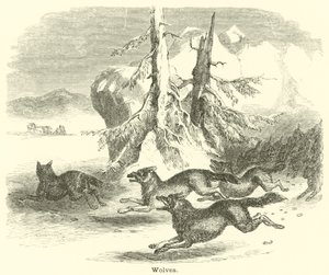 Lobos de English School