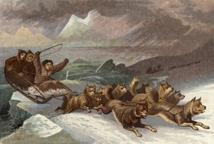 Maravillosa escapada al romperse el hielo de English School