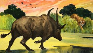 Maravillas de la naturaleza: El animal más feroz de todos