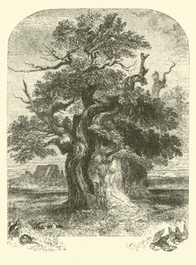 Roble de Yardley de English School