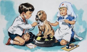 Jóvenes veterinarios de English School
