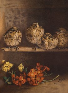 Pollitos jóvenes y flores (chromolitho)