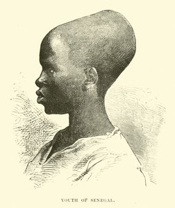Joven de Senegal de English School