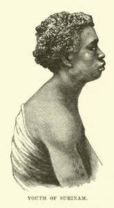 Joven de Surinam de English School