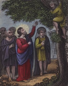 Zaqueo subió al árbol... de English School