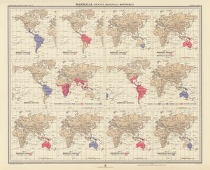 Zoogeografía: Mammalia, Edentata, Marsupialia, Monotremata (litografía en color) de English School