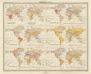 Zoogeografía: Mammalia, Ungulata (litografía en color) de English School