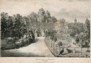 Jardines Zoológicos, Regents Park