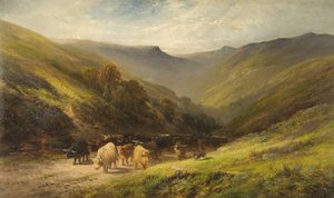Ganado de las tierras altas