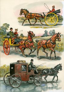 Caballos